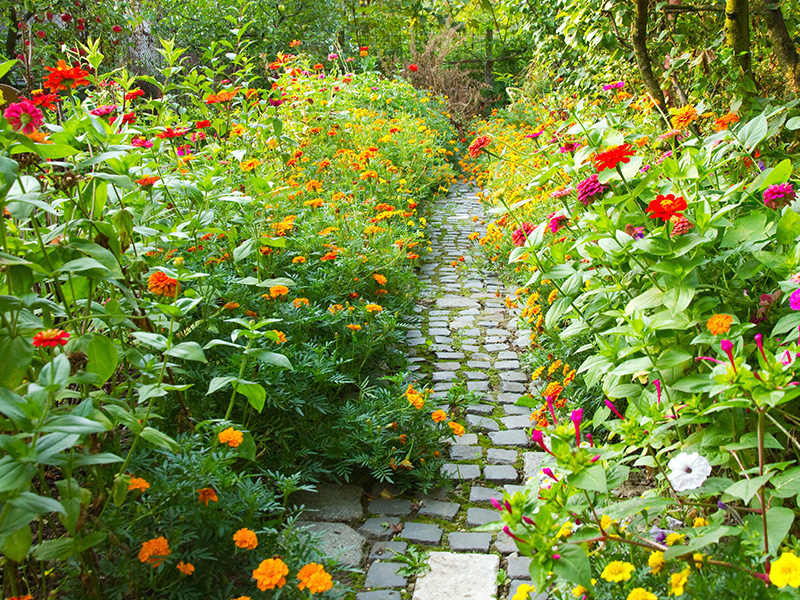 Création de jardin Antibes, Création de jardin Cannes, Création de jardin 06