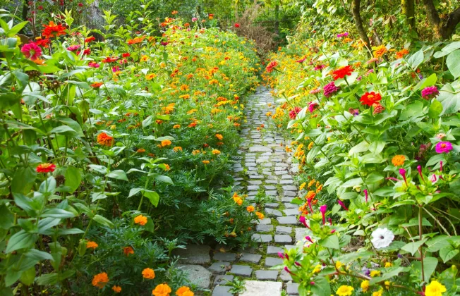 Eden Paysage Entretien De Jardin Antibes Biodiversite