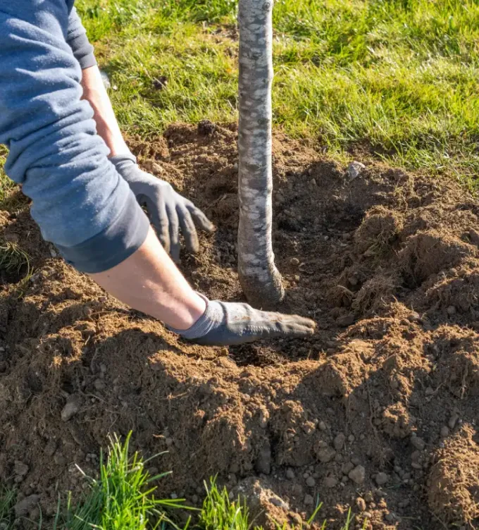 Entretien de jardin Théoule-sur-Mer