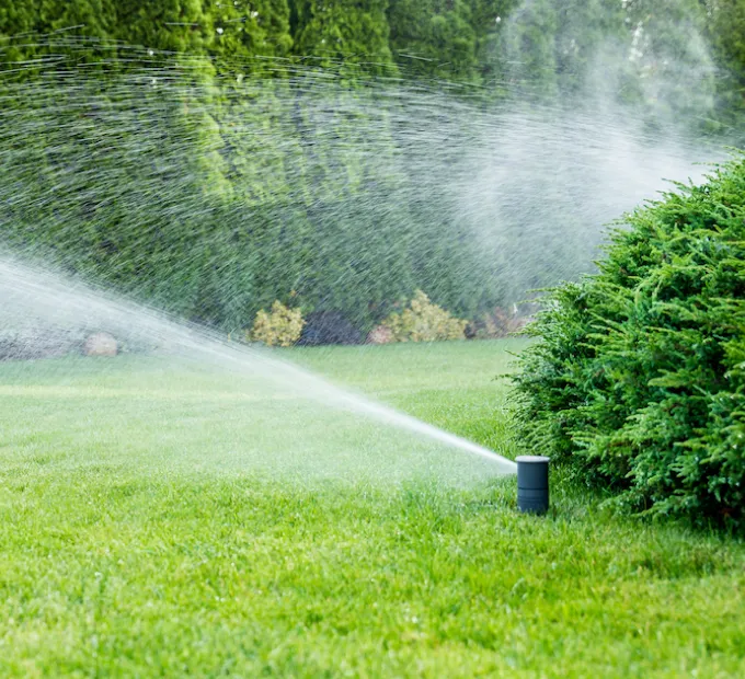 Entretien de jardin Vallauris