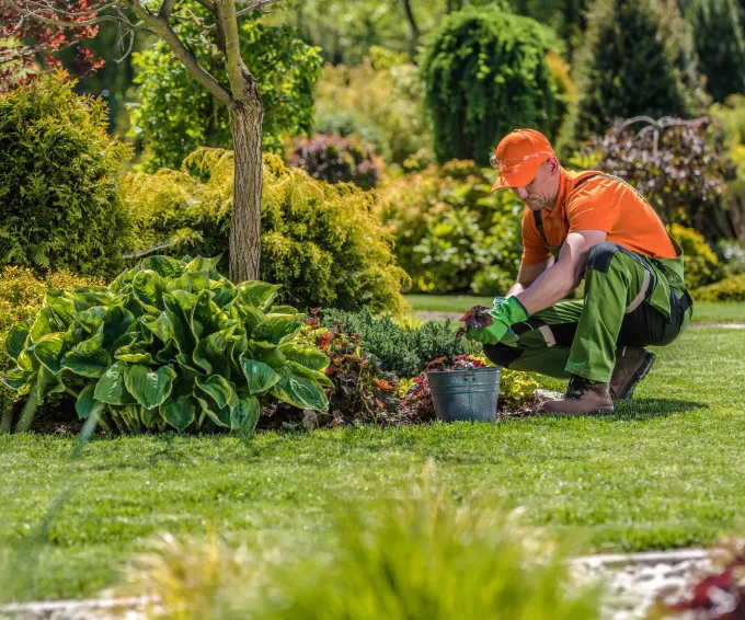 Entretien de jardin Mandelieu-la-Napoule